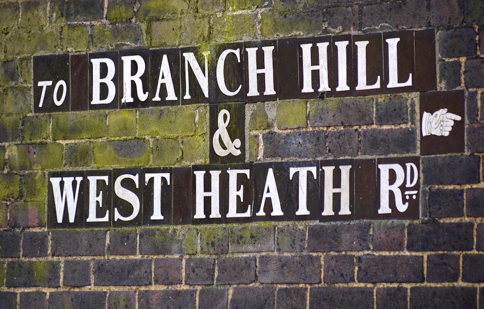 A close-up view of a vintage street sign mounted on a brick wall, indicating directions to 'Branch Hill' and 'West Heath Rd' in Hampstead. The sign features black background with white lettering in a traditional serif font. The bricks surrounding the sign are weathered and covered in patches of green moss and lichen, reflecting outdoor environment and age. To the right of the sign, there is a small white illustrated hand pointing towards 'Branch Hill,' subtly indicating navigation. The photograph is well-lit with natural daylight, highlighting the texture of the brickwork and the sign's details. This image exemplifies typical street signage seen during home relocation or furniture transport activities in the Hampstead area, emphasizing the importance of clear directional signage in managing residential moves and loading processes for removal companies such as Removal Companies Hampstead.