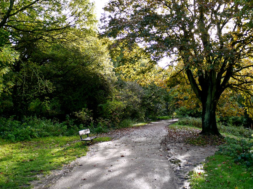 A scenic park pathway with a dirt and gravel surface, bordered by green grass and dense foliage, including trees with green, yellow, and orange leaves suggesting autumn. On the left side of the path, there is a wooden bench with metal supports, positioned near the edge of the grassy area, shaded by the surrounding trees. The pathway curves gently to the right and appears to lead deeper into the park. This natural outdoor environment is well-lit, with sunlight filtering through the tree canopy, creating dappled shadows on the ground. The scene reflects a peaceful setting suitable for walking and leisure, while the calm atmosphere and pathway could be part of a residential or community area in Hampstead. In the context of home relocation or furniture transport, images like this might serve as scenic backgrounds for logistical planning or illustrative content in a removals guide by Removal Companies Hampstead.