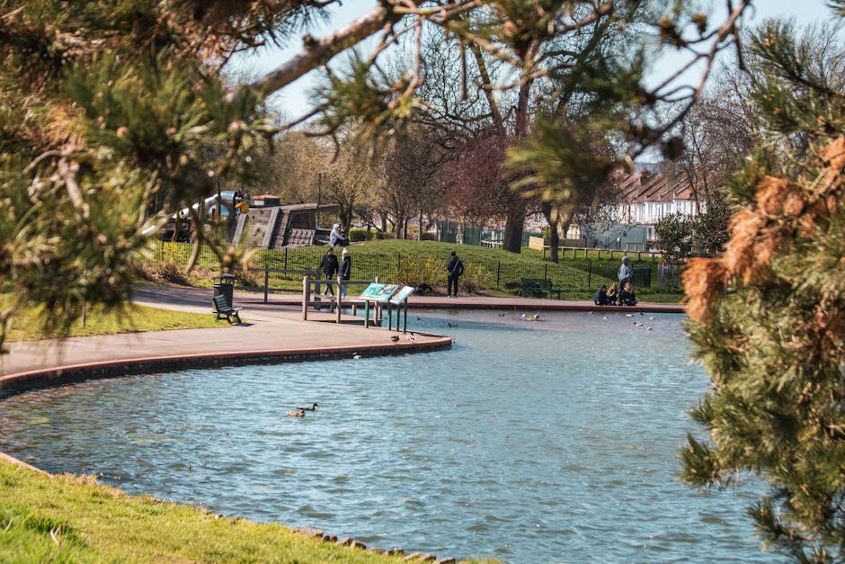 An outdoor scene of a park with a large rectangular pond at the foreground, surrounded by a paved walkway. In the pond, there are tall yellow iris plants growing along the edge and a small fountain shooting water into the air. The park is bordered by a black metal railing with decorative stone posts, and beyond it, there are several large, mature trees with dense green foliage providing shade. People are sitting on benches and lounging on the grass, some near the trees. The scene is well-lit, indicating daytime with natural light, and the park appears to be a peaceful, open space suitable for leisure activities, often visited during home relocations or moving logistics to relax. Removal Companies Hampstead may utilize such parks for community engagement or for their clients' brief outdoor breaks during packing and moving processes.